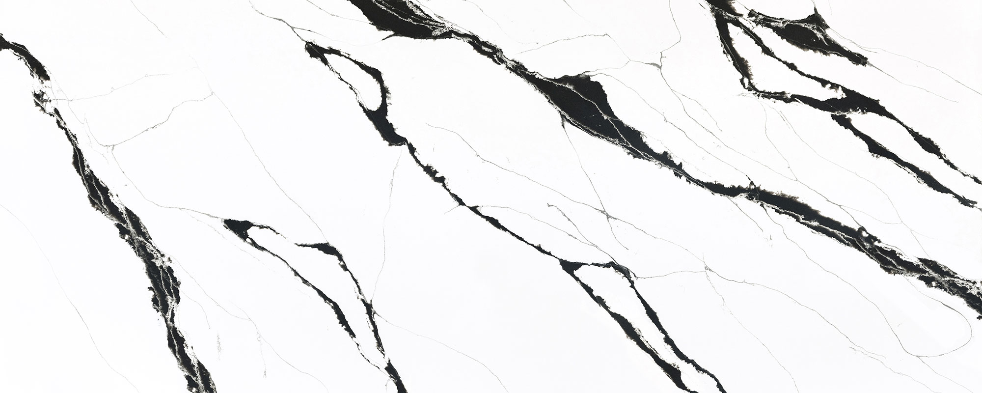 U. Calacatta Black